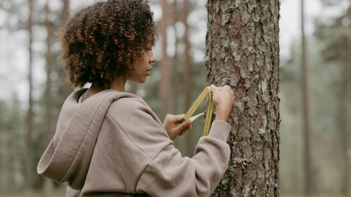 A woman in a forest measuring a tree trunk with a tape measure.